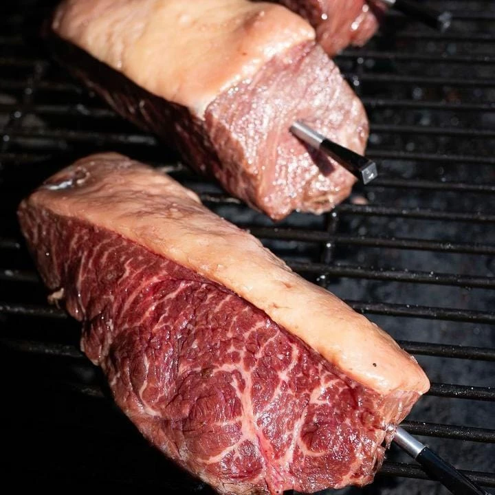 Traeger Canada BBQ Accessories MEATER Plus Wireless Remote Thermometer - RT1-MT-MP01 Probe 6 Traeger Canada BBQ Accessories MEATER Plus Wireless Remote Thermometer - RT1-MT-MP01 Probe