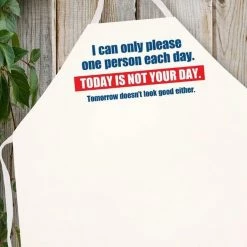 BBQ Accessories LA Imprints Attitude Apron - Today Is Not Your Day